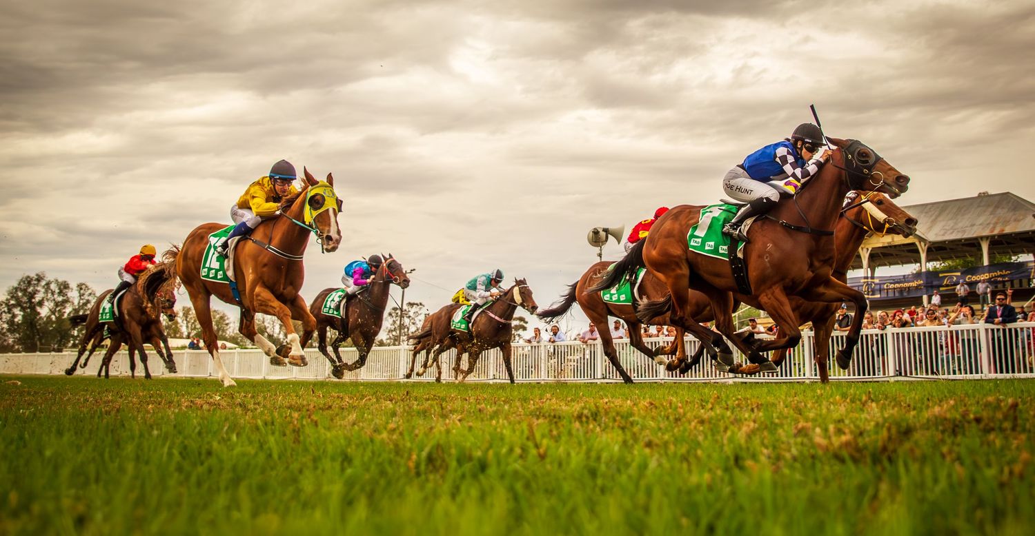 Horse racing sequence showing thoroughbreds racing down a grass track under dramatic cloudy skies at sunset.