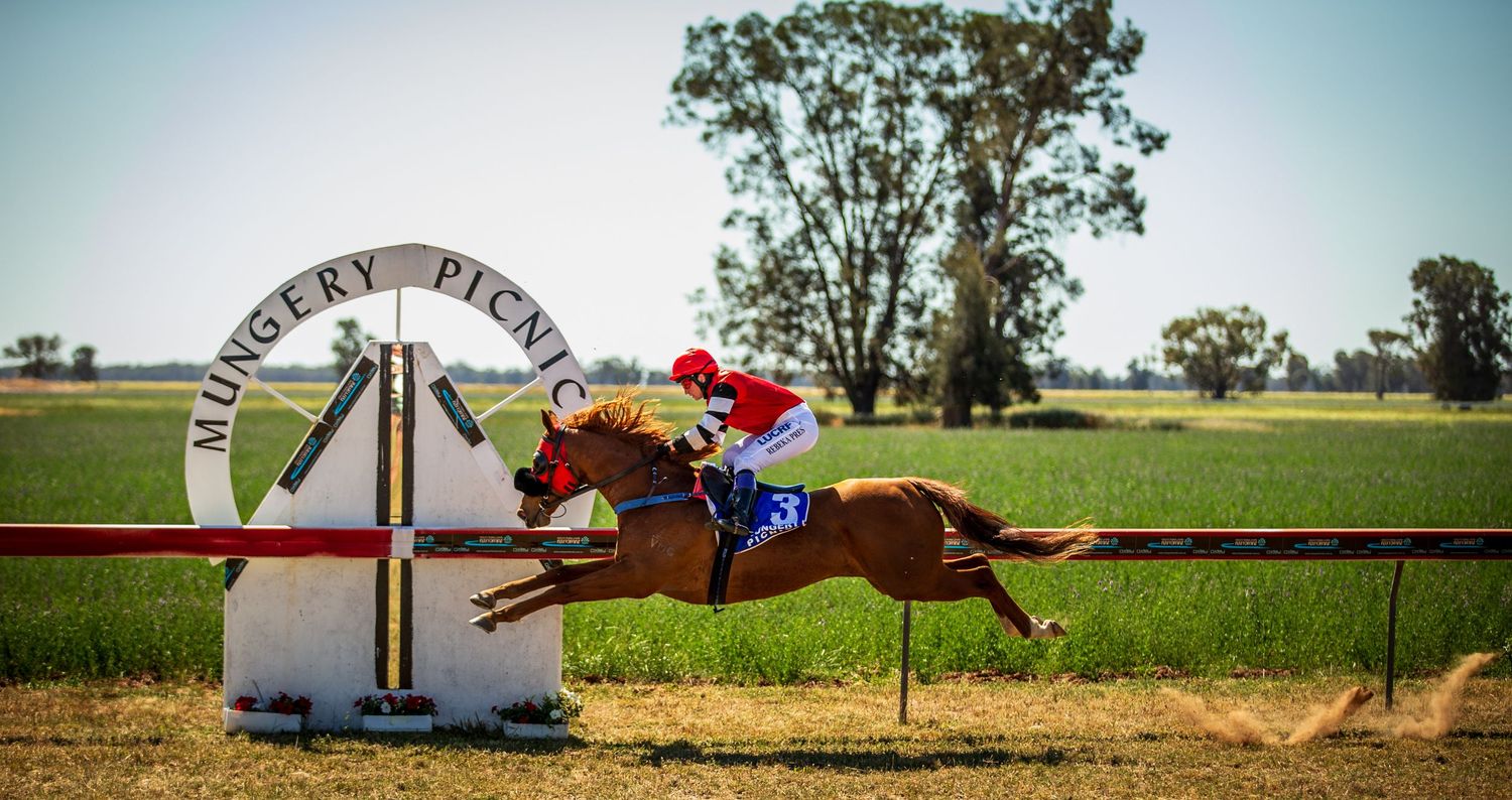 Horse and rider leap over a shadow at the finish line.