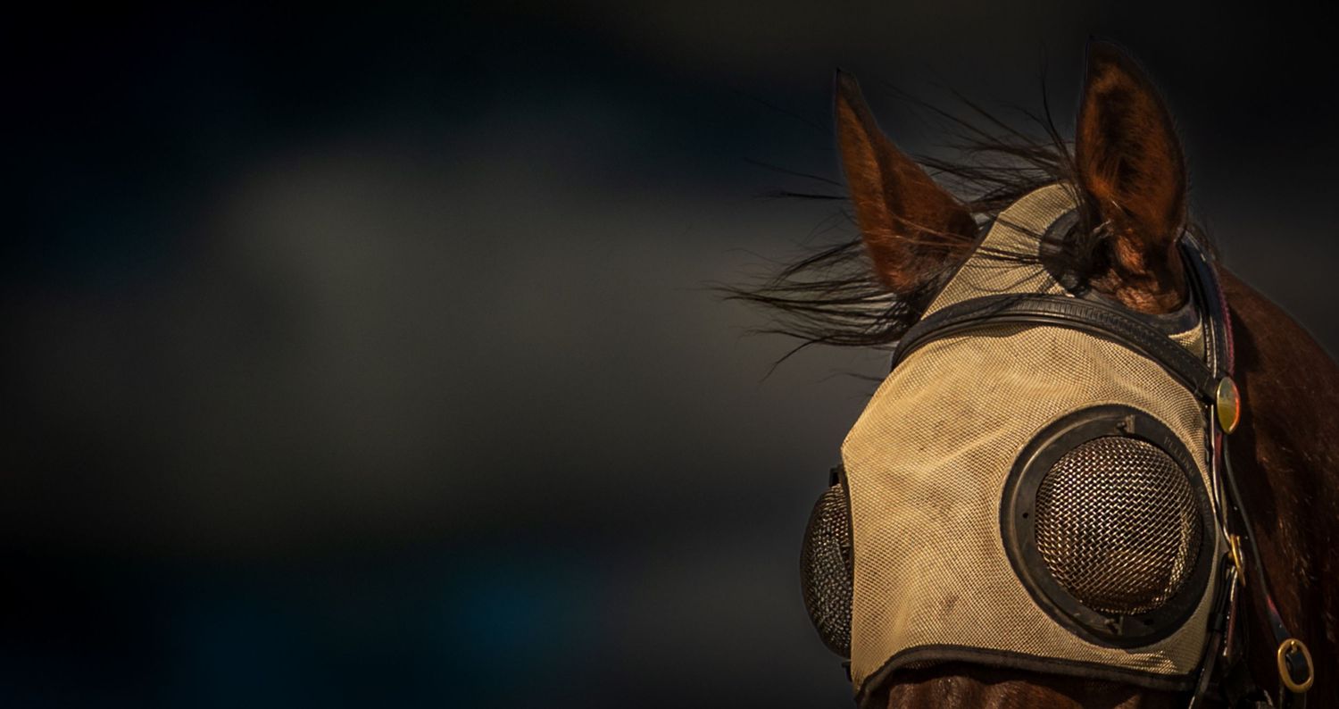 A brown moth rests on a weathered vintage gas mask against a dark background.