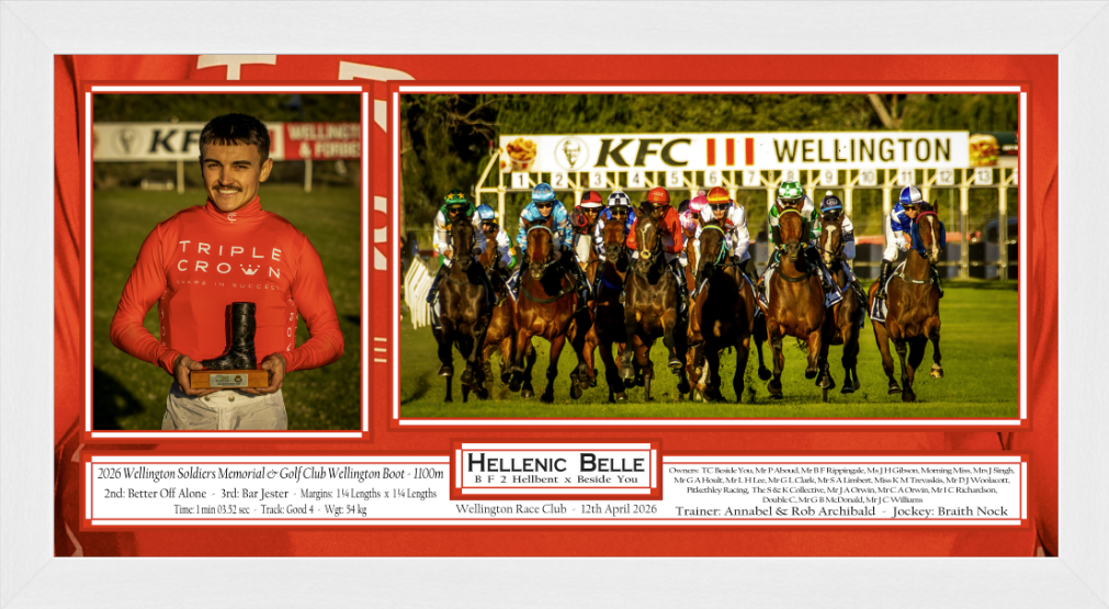 Hellenic Belle racehorse at KFC Wellington racing event, featuring jockey portrait and horses at starting gates.