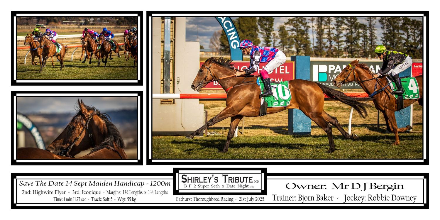 A collection of horse racing action photos showing thoroughbreds competing on dirt tracks and jumping over hurdles.