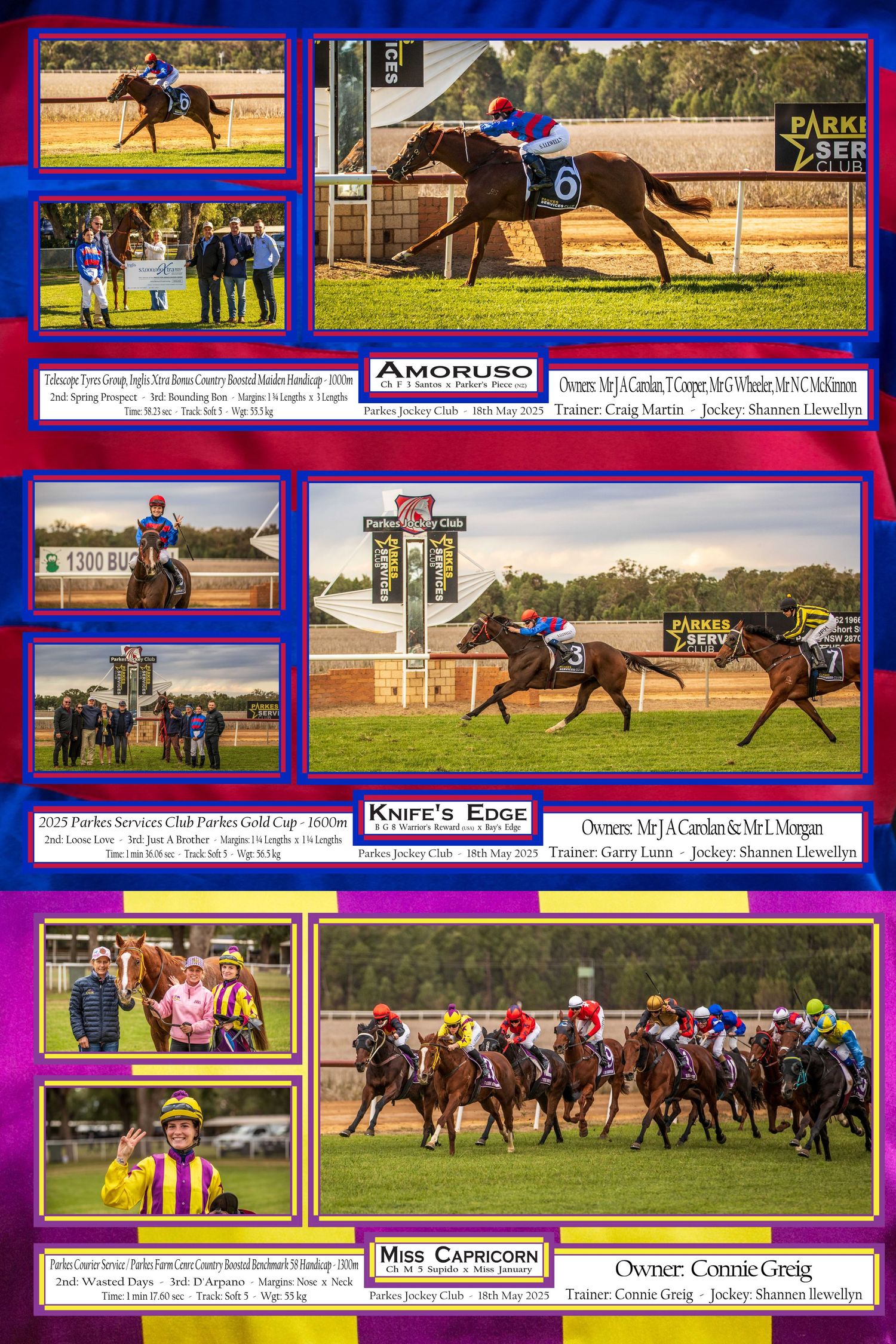 Collection of horse racing photos showing races, track scenes, and equestrian events at various venues.