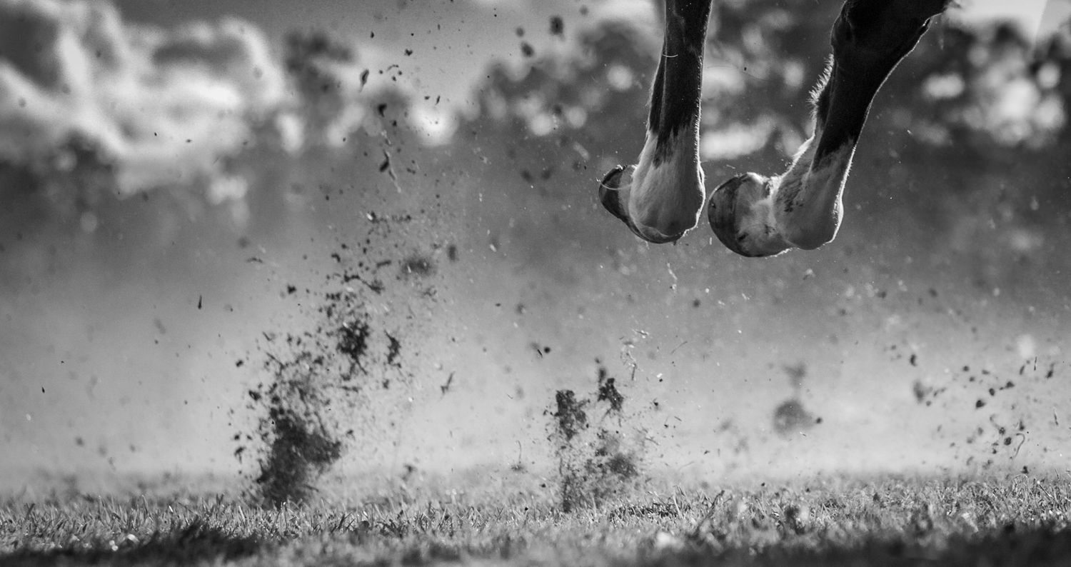 Black and white photo strip showing dirt flying from galloping hooves during horse race.