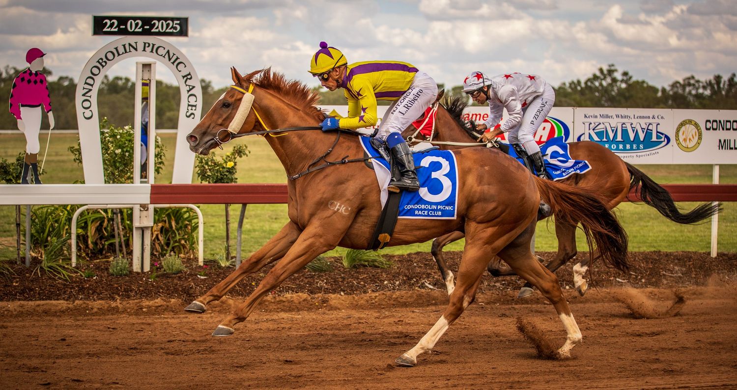 Multiple horses racing on dirt tracks during competitive races with jockeys in colorful racing silks.