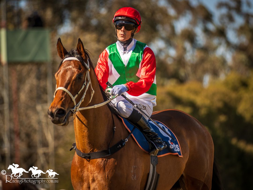 A jockey in red and green silks rides a chestnut thoroughbred horse at a sunlit Australian racetrack.