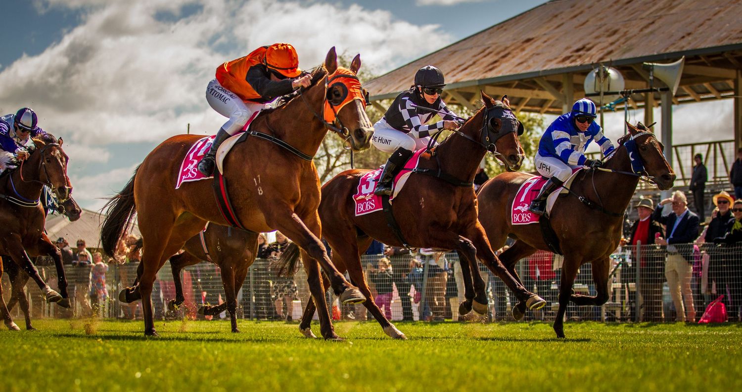 Three jockeys racing thoroughbred horses on a green grass track at a competitive horse racing event.