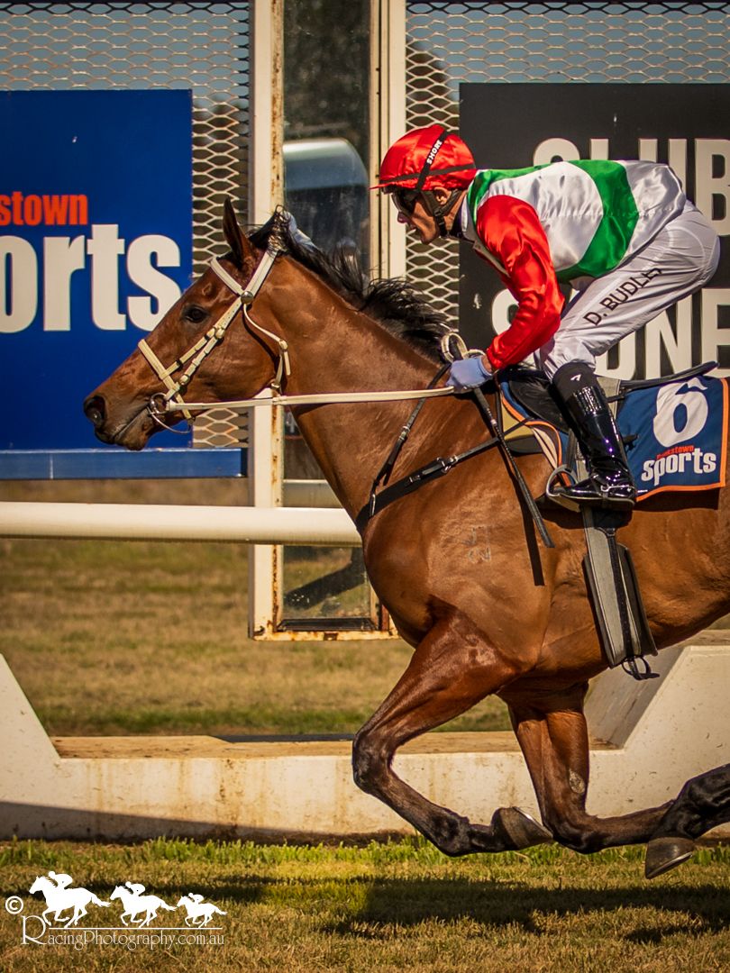 Jockey in red helmet rides a chestnut horse past Sports Club signage at a horse racing event.
