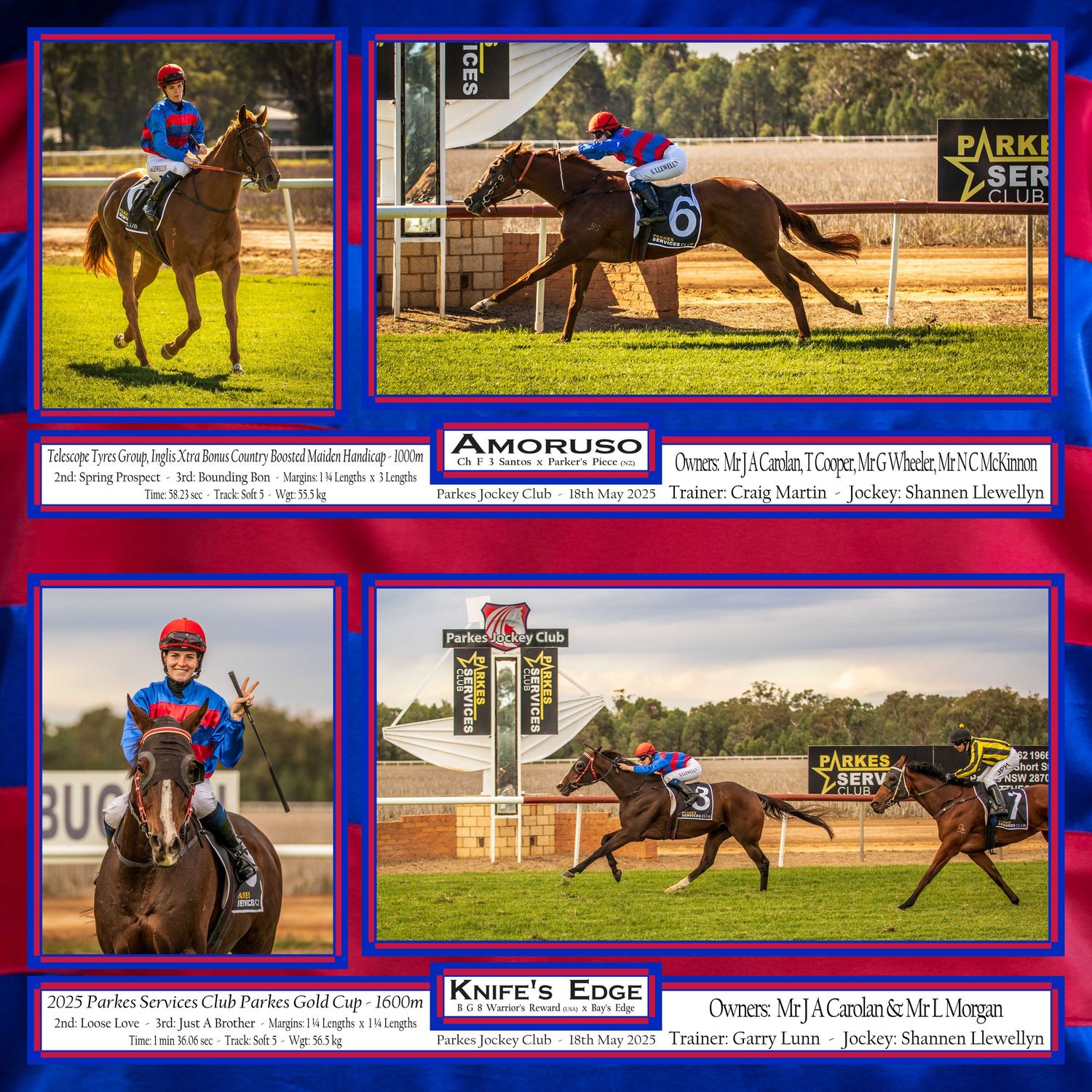 Collage of horse racing photos showing various races and track scenes with blue and red border.