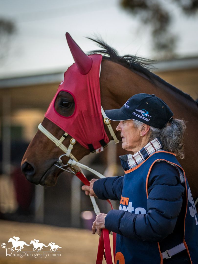 An elderly woman in a blue jacket and cap holds a bay horse wearing a red hood at a racing event.