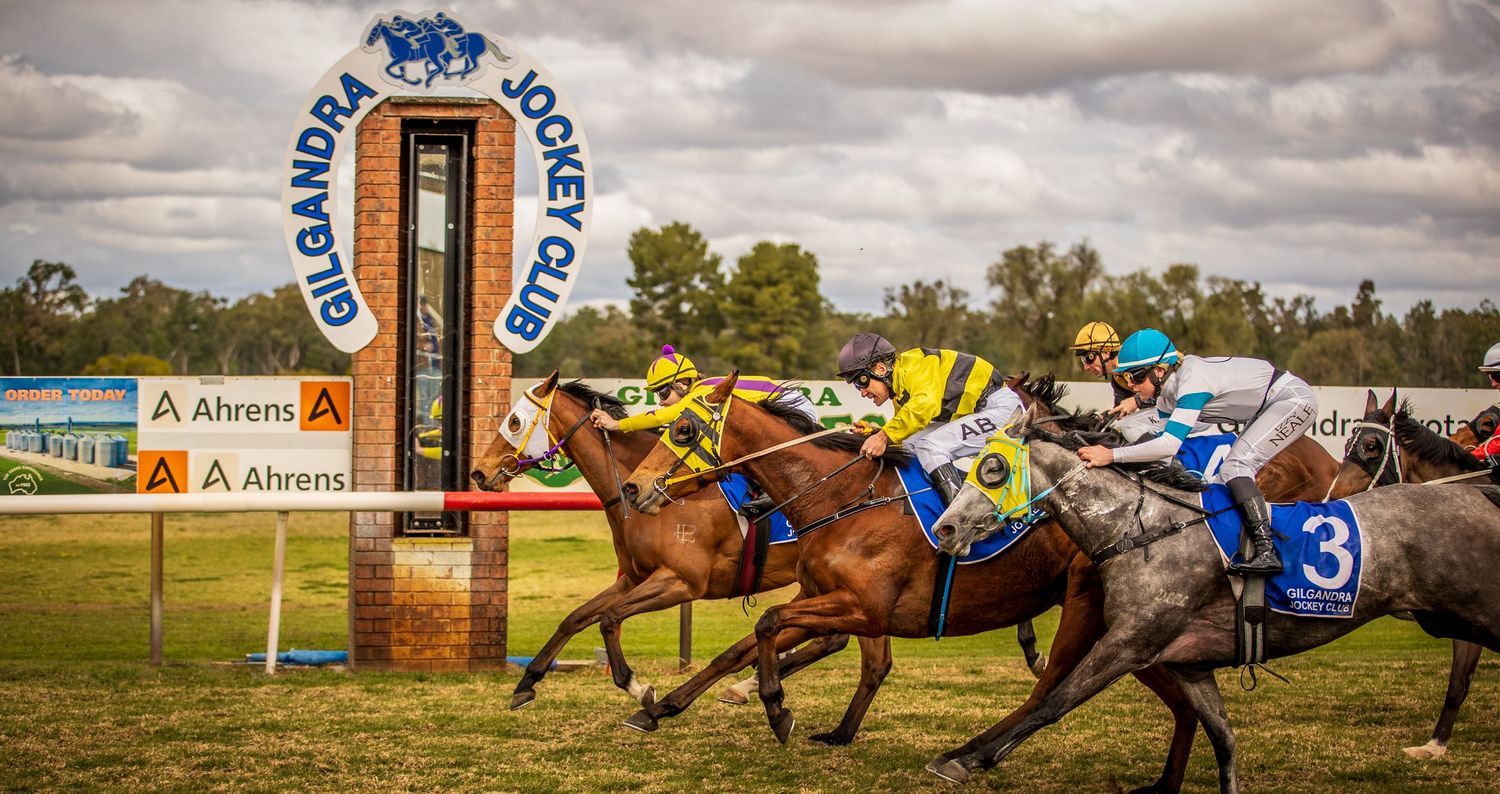 Horses and jockeys racing neck and neck down the final stretch of a racetrack.