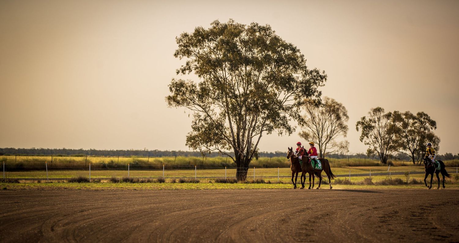 Riders on horseback trot along a sandy track at dusk, with tall eucalyptus trees and golden fields in the background.