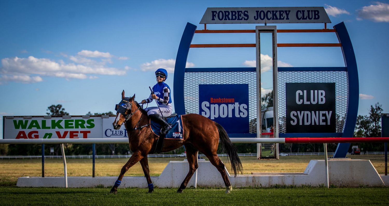 Jockey on chestnut horse at Forbes Jockey Club racecourse with Club Sydney and Sports signage in background.