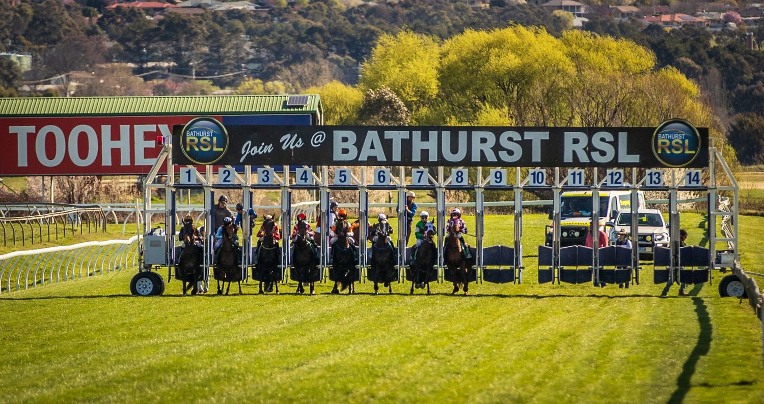Horse racing spectators gather at Bathurst RSL track on a sunny day with yellow flowering trees in bloom.