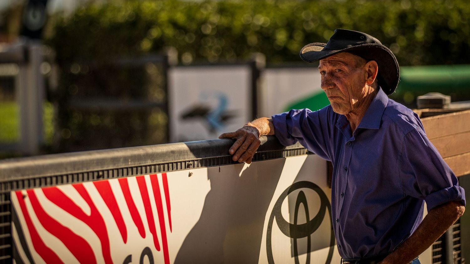Elderly man in cowboy hat leaning on fence at outdoor rodeo event in warm golden sunlight.