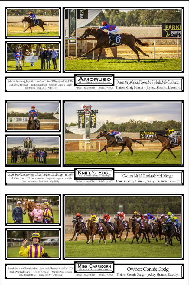 Horse racing collage featuring Amoruso, Knifes Edge, and Miss Capricorn winners at Parkes Services Club races.