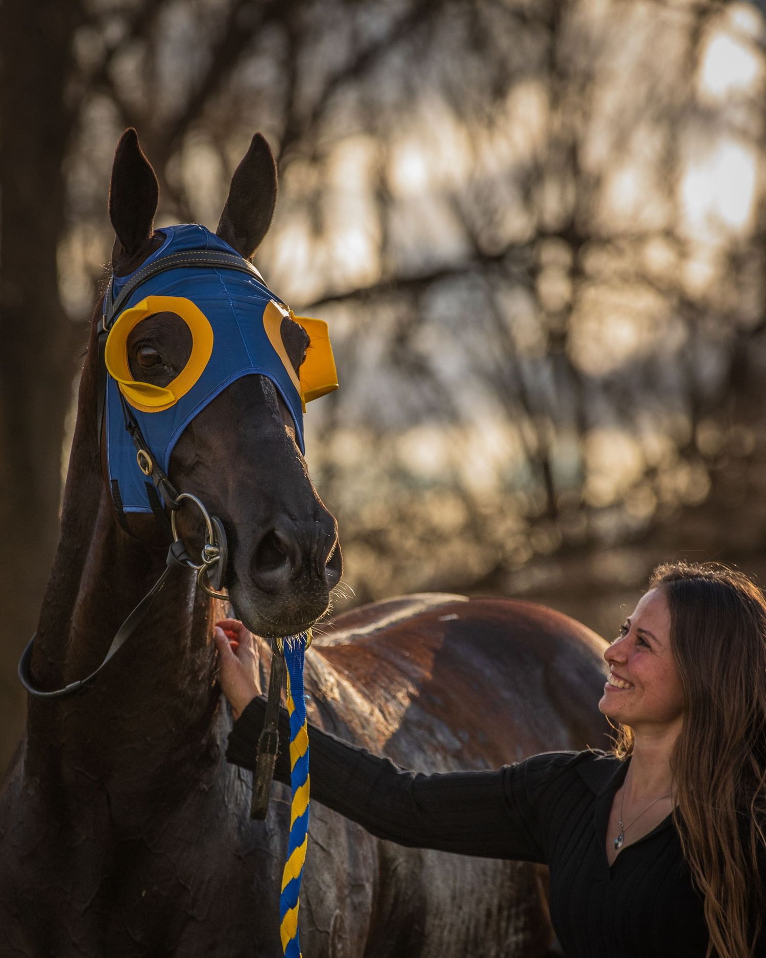 A smiling woman in black pets a dark horse wearing blue and gold racing blinders outdoors at golden hour.
