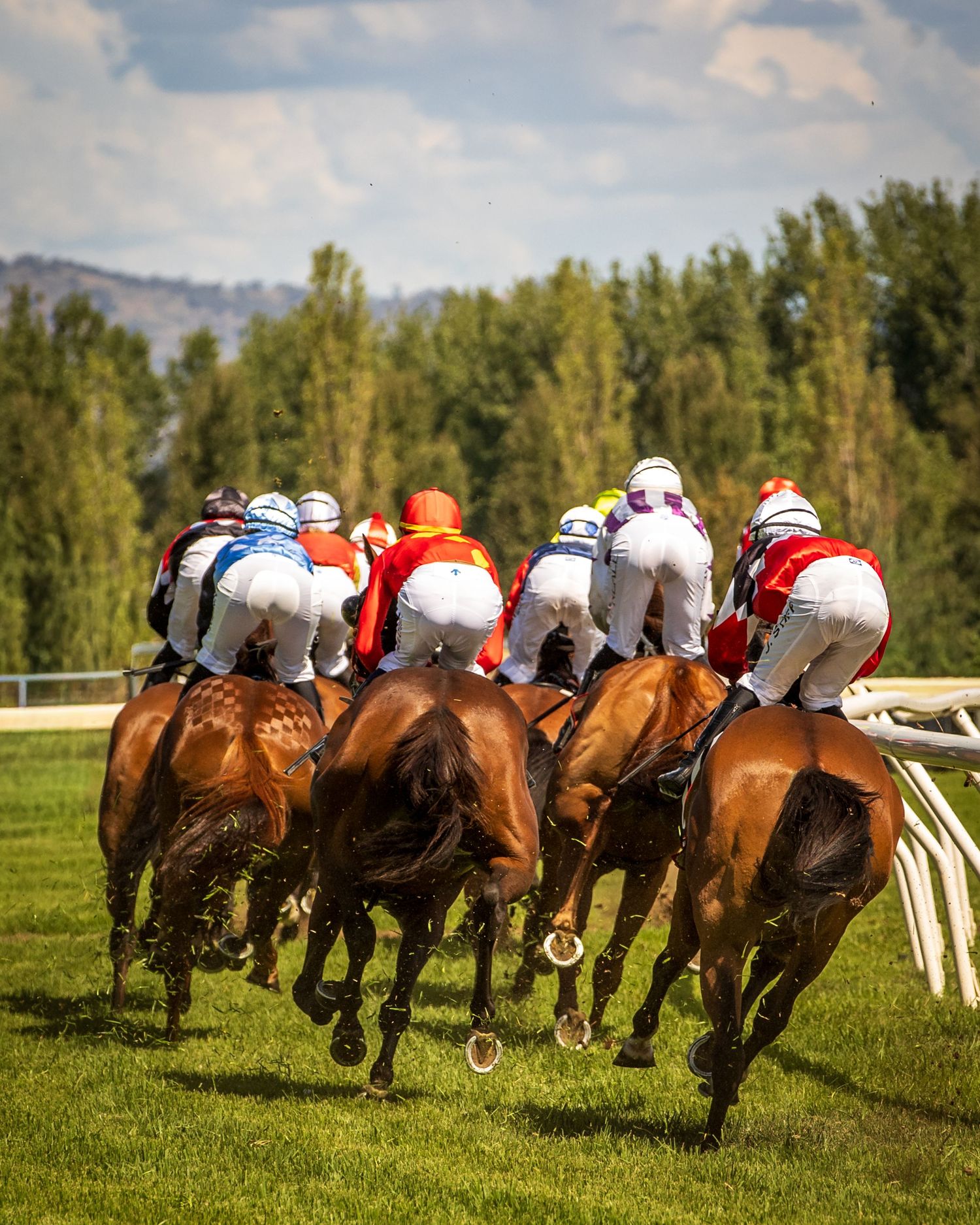 A group of jockeys racing horses on a grass track during a competitive horse racing event.