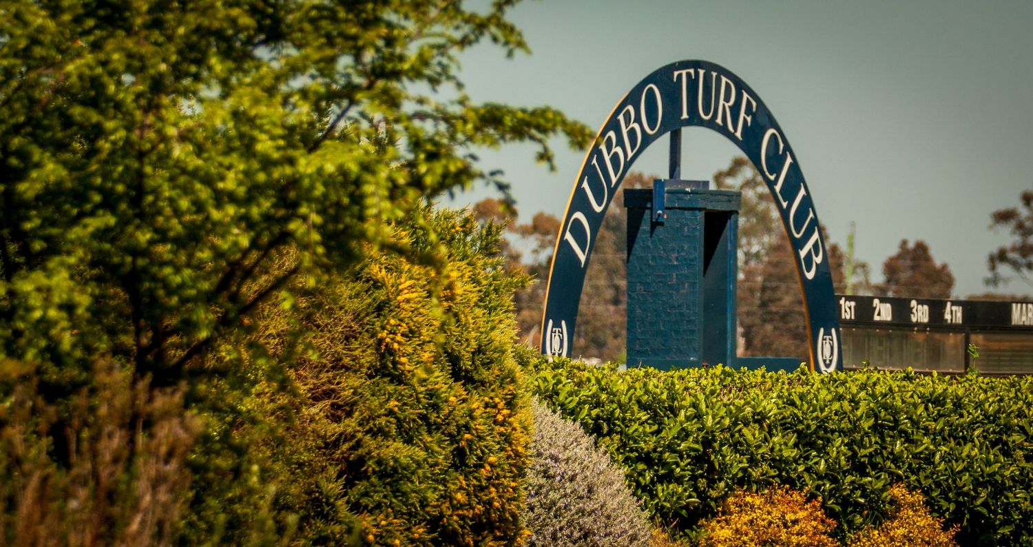 A blue wooden arch with text 'Pebble Time Cottage' stands among lush greenery in a garden setting.