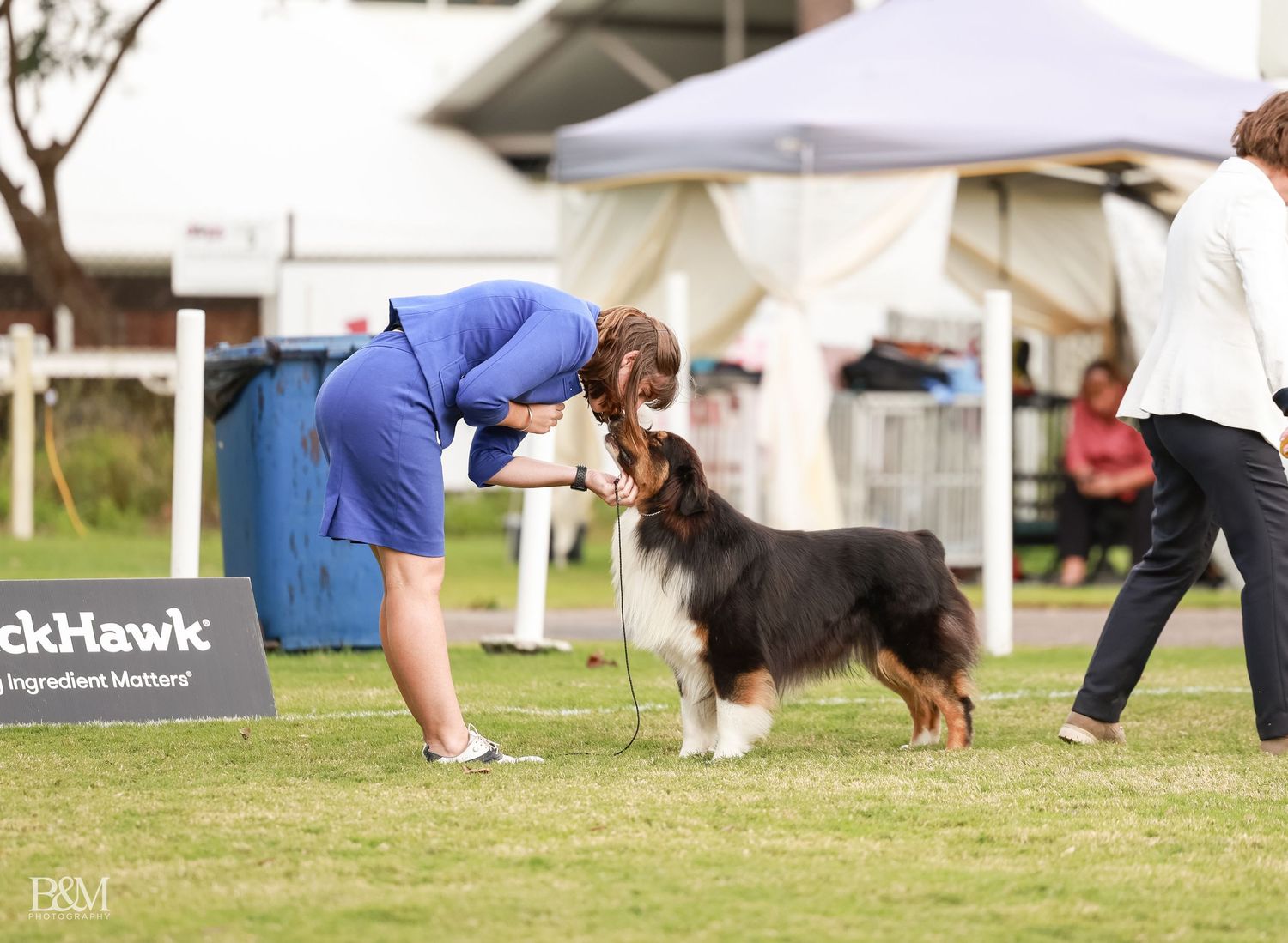 Dogs and handlers perform together in a professional dog show competition on an outdoor grass field.