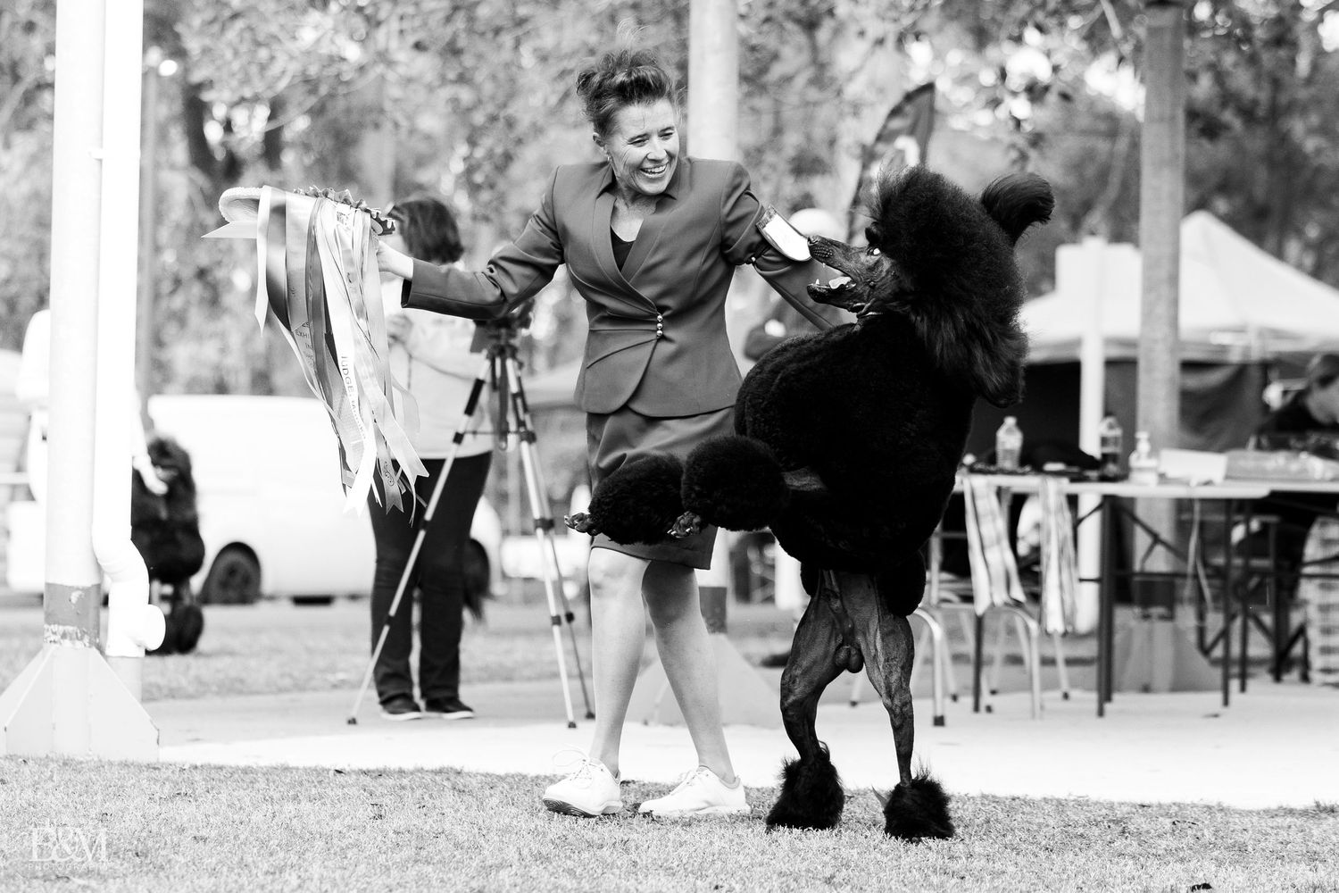 Black and white photo showing dog agility training exercises in a park.