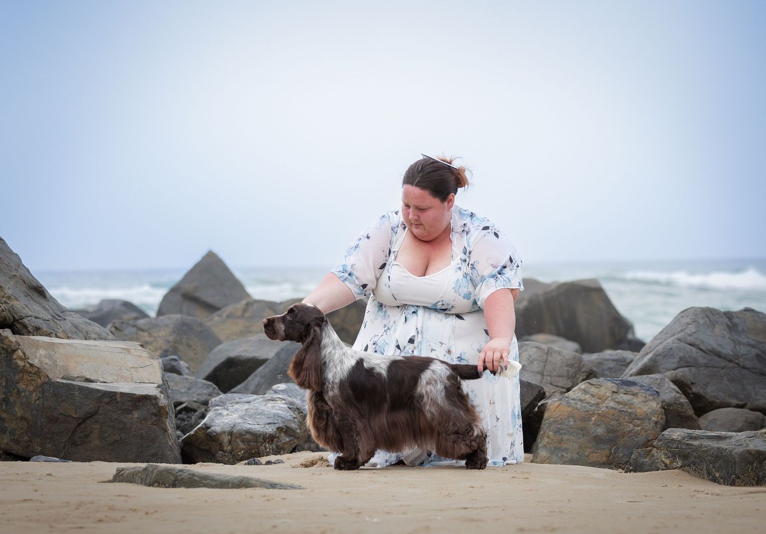 Woman grooming a Cocker Spaniel dog on a sandy beach with rocky shoreline and ocean waves in the background.