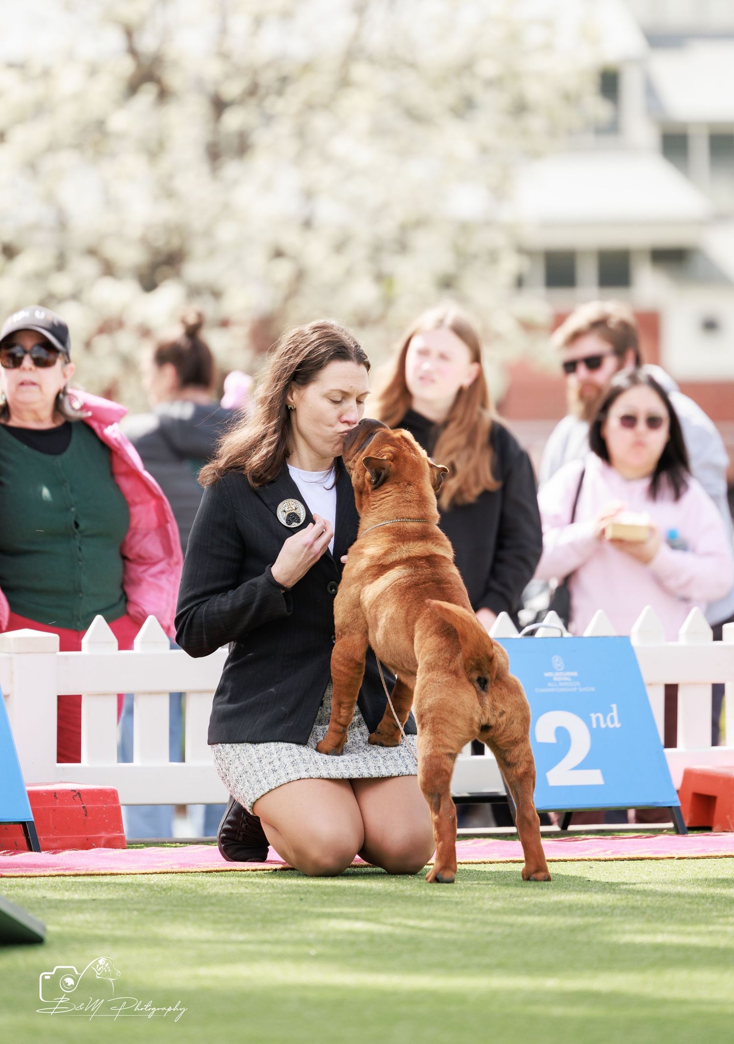 Woman kneeling with a golden-red dog at a dog show, 2nd place sign visible, crowd watching outdoors.