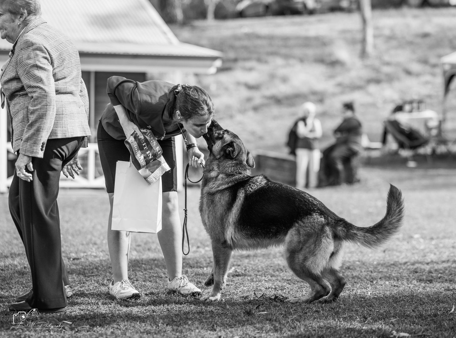 Black and white photo of a woman showing a German Shepherd dog at an outdoor dog show competition.