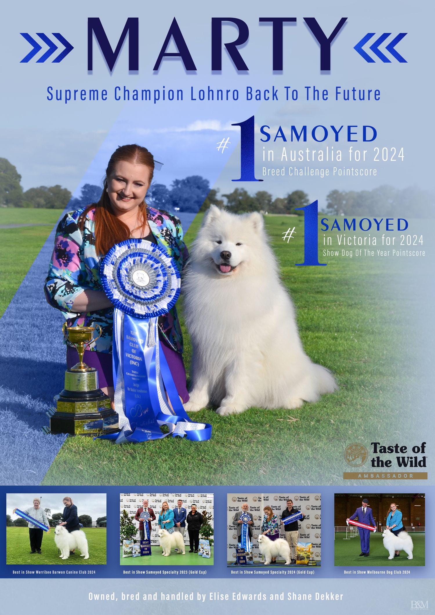 Banner featuring champion Samoyed dogs with blue ribbons and show achievements.
