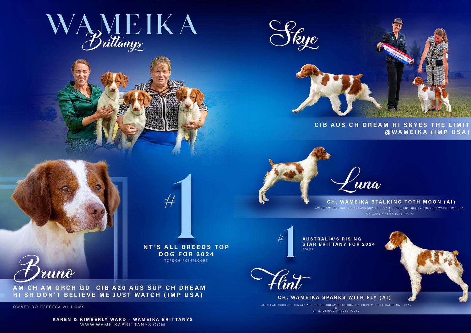 Elegant blue dog show banner showcasing champion dogs with professional lighting and typography.