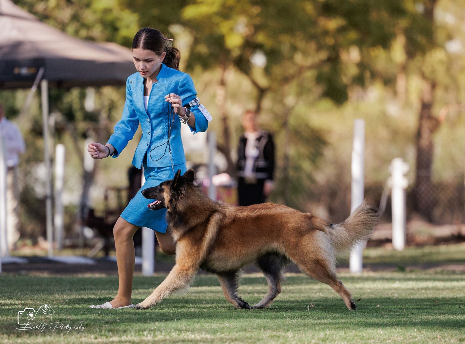 Girl in blue jacket showing a Belgian Tervuren dog at an outdoor dog show competition on green grass.
