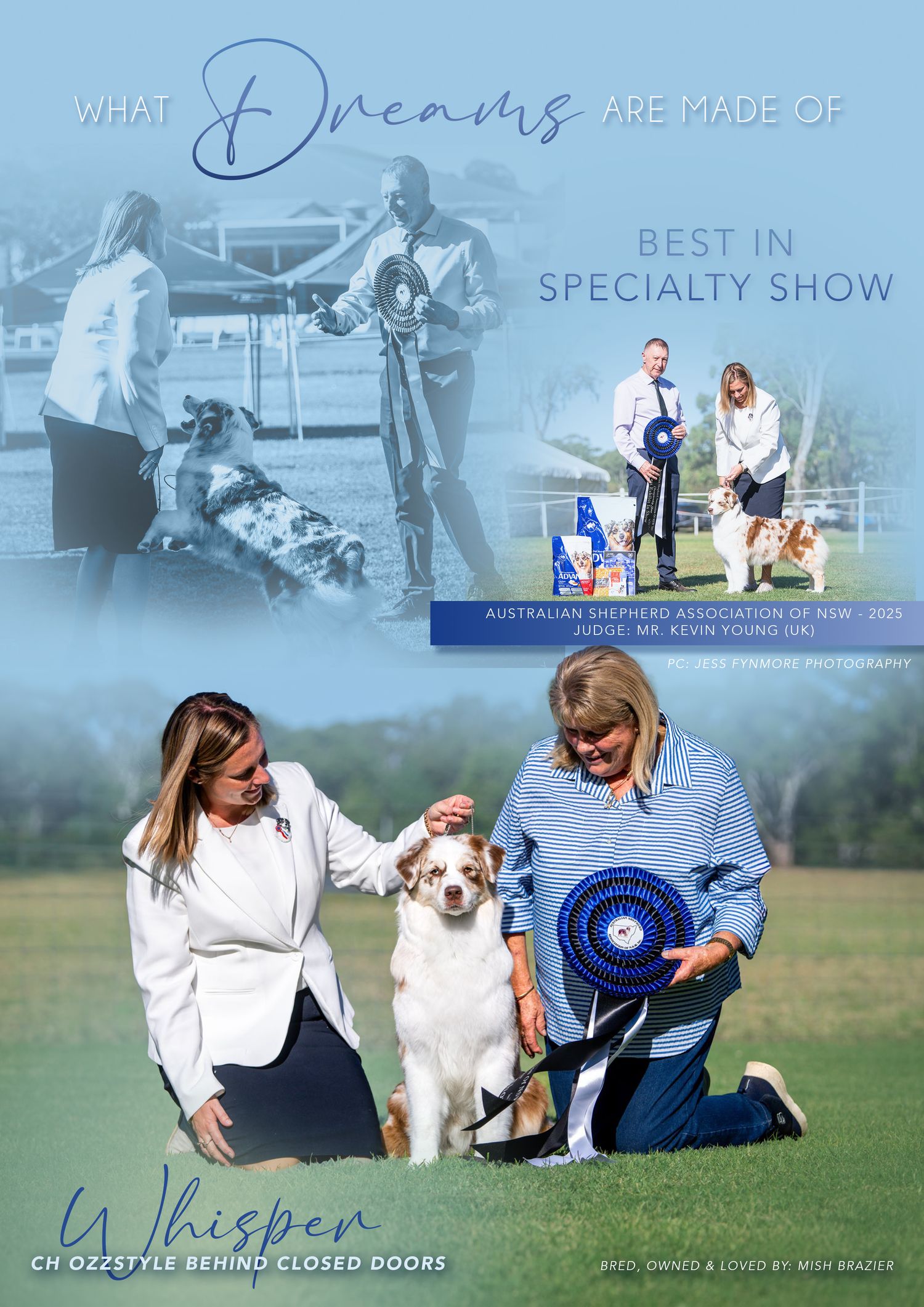 Dog show competitors and handlers working together in outdoor competition settings.