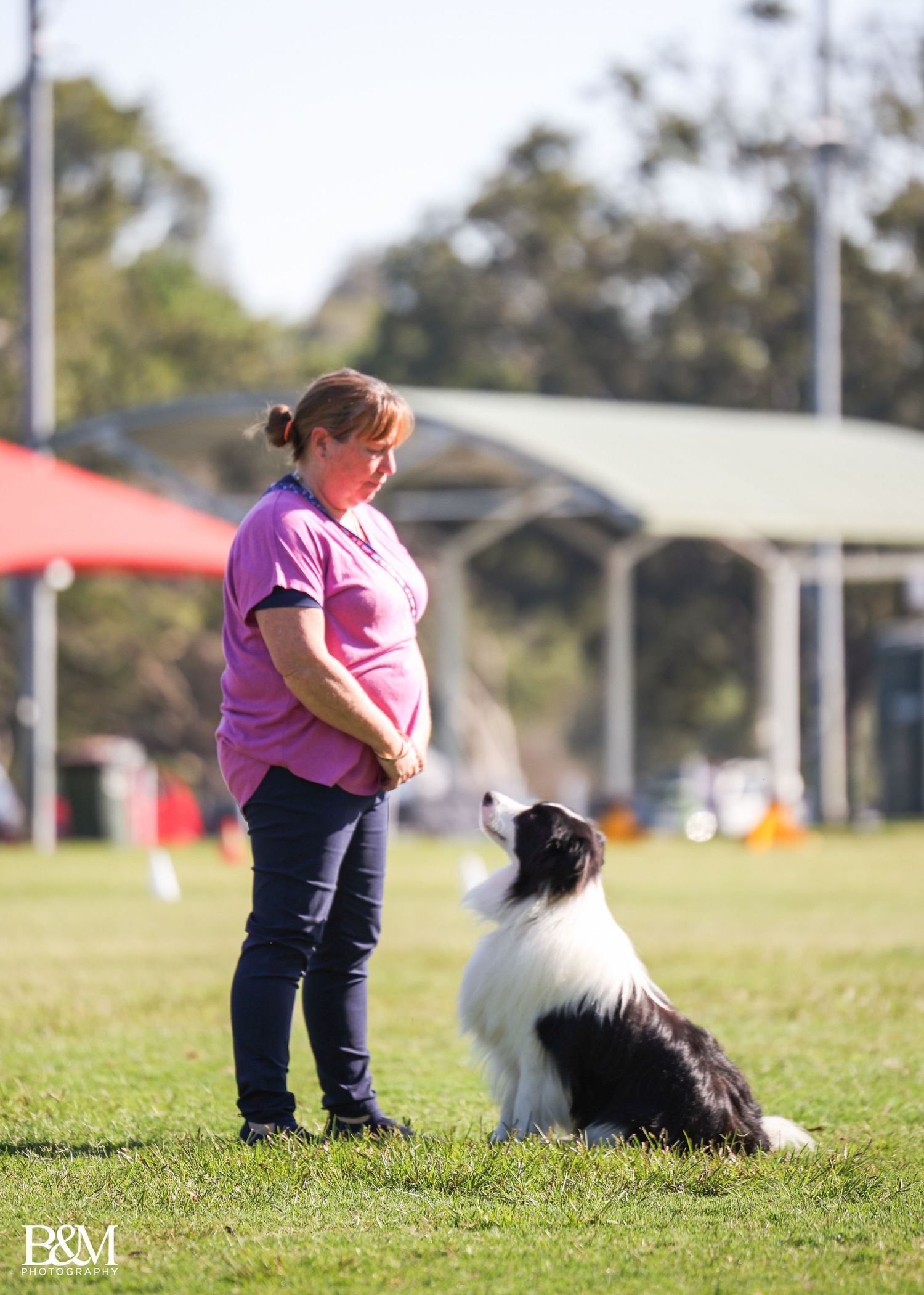 Border Collie and handler practicing training exercises on grassy field.