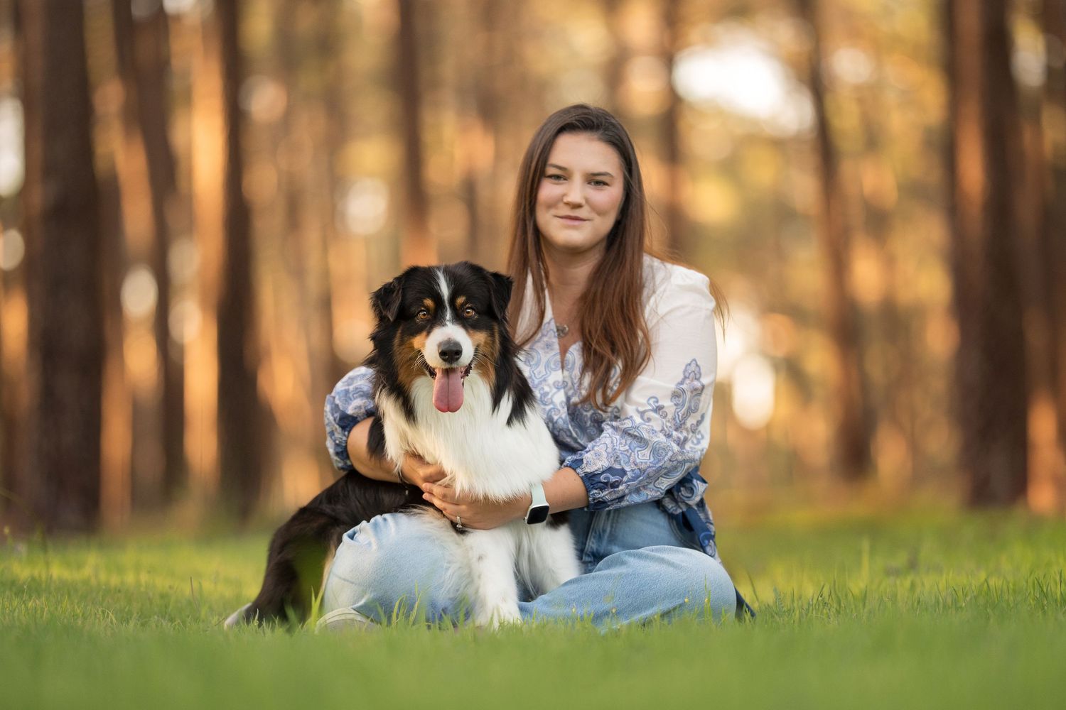 Australian Shepherd enjoying outdoor playtime in autumn forest setting.