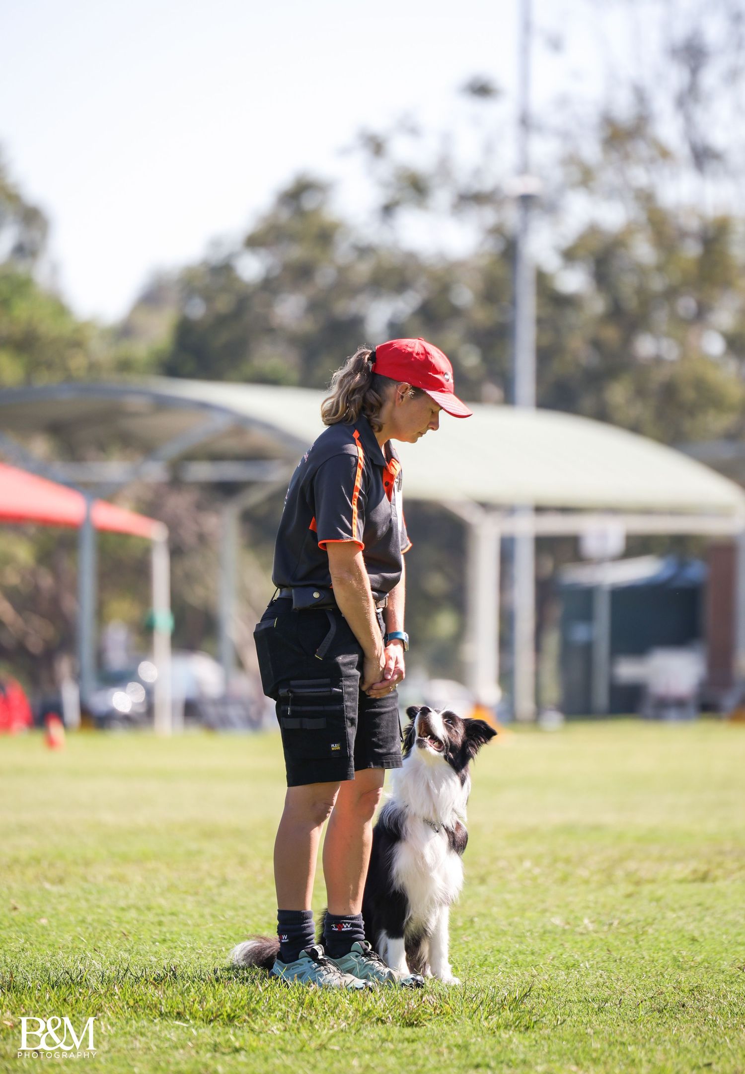 Handler and Border Collie working together during outdoor agility training session.