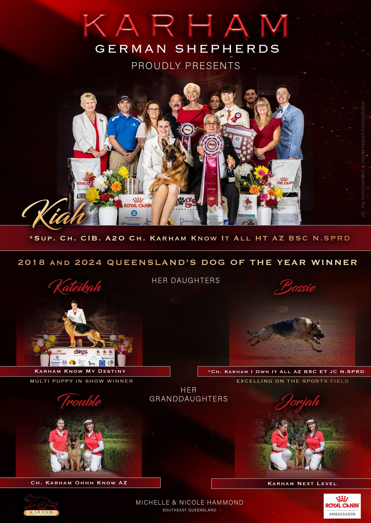 Professional dog show banner featuring German Shepherds with red background and family achievements.