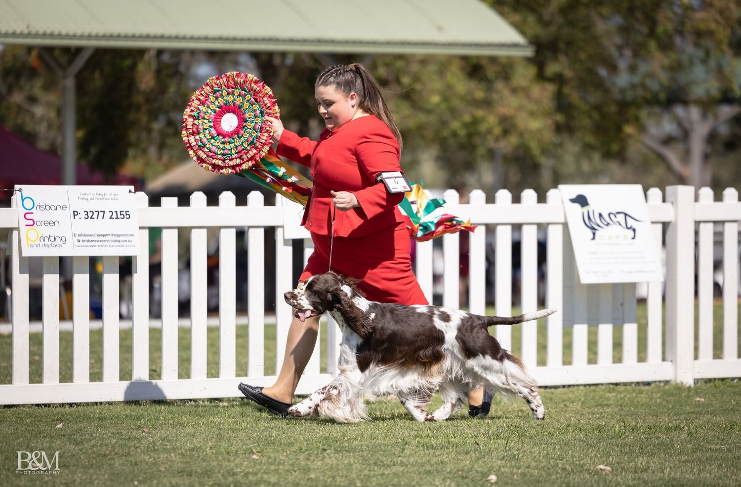 Dog agility competition course with white picket fencing and participants in action.