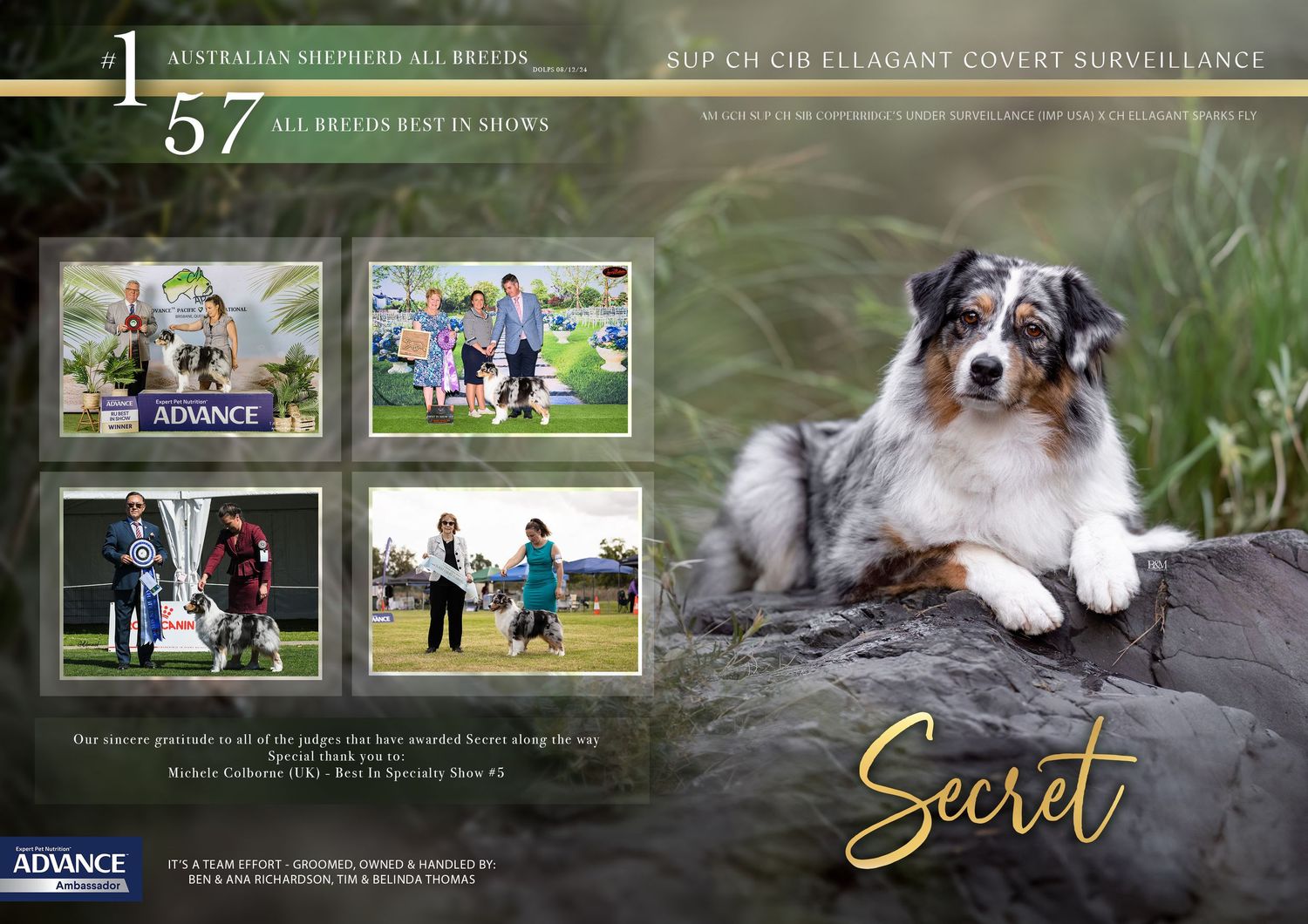 Nature-themed dog show banner with multiple action shots on dark green background.