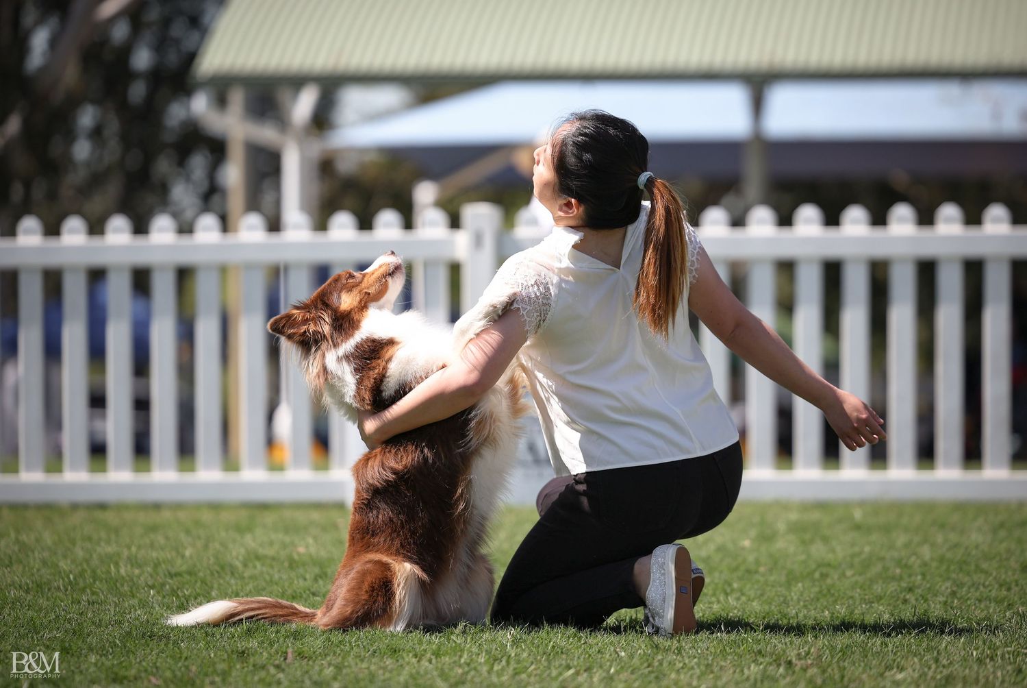 Dog and handler practicing agility moves on sunny grass field.