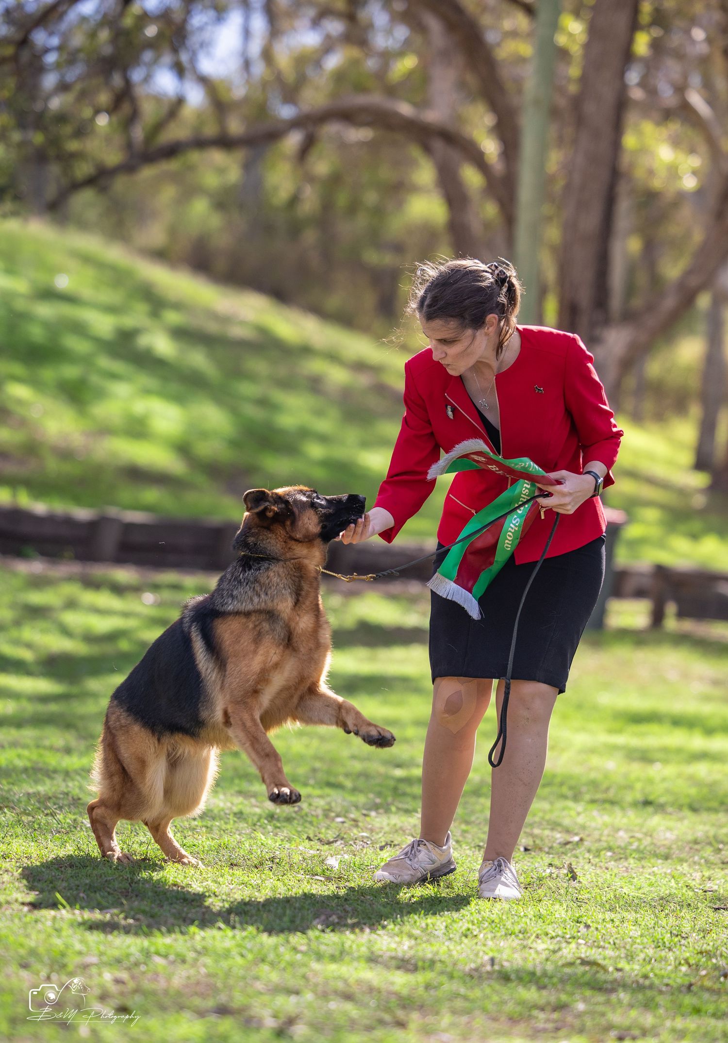 Woman in red jacket plays with German Shepherd dog on green grass in sunny park, dog jumping up eagerly.