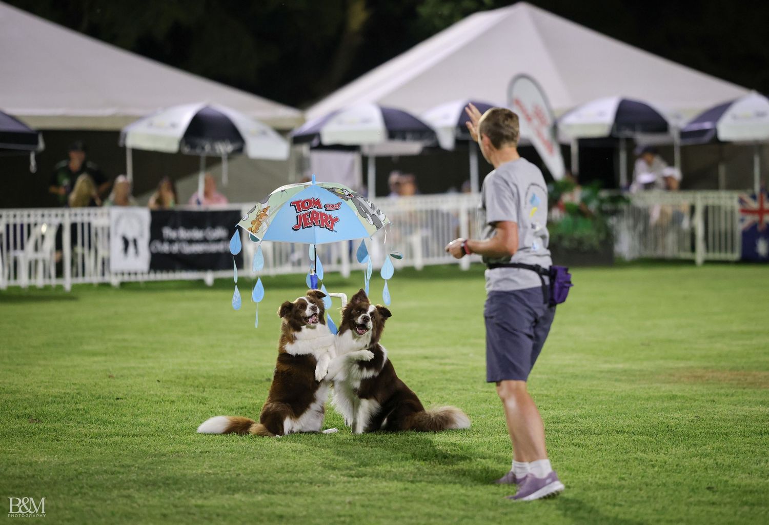 Dog show event setup with white tents and participants on a sunny grass field.