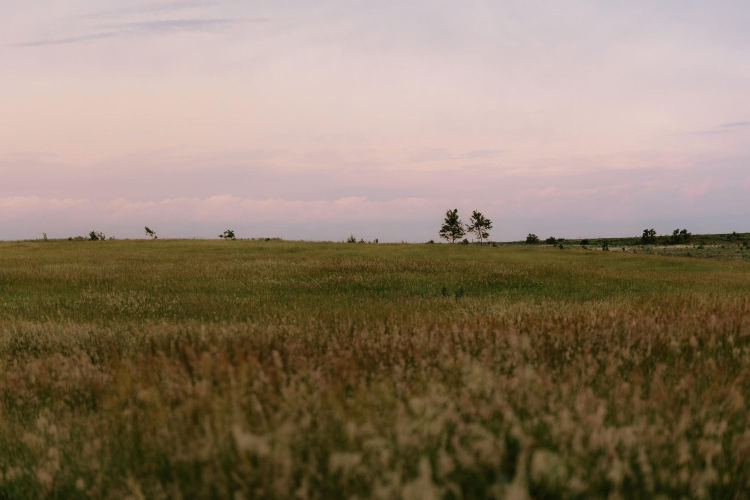 Sunset proposal photos at pond in lincoln nebraska, lincoln nebraska engagement photographer, proposal photo ideas