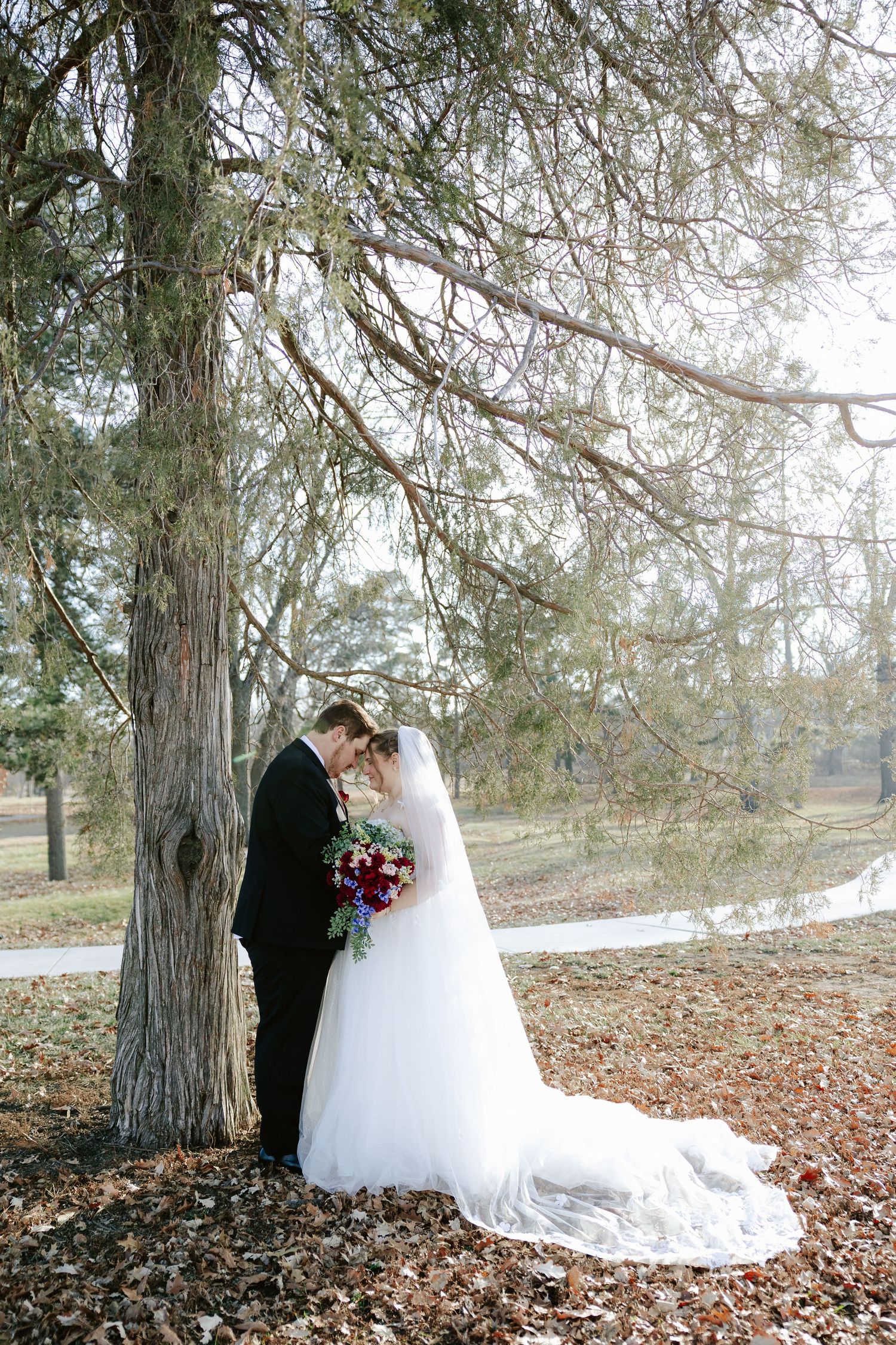 A romantic winter wedding photo showing a bride and groom posing against a large tree at Antelope Park by the Auld Pavilion.