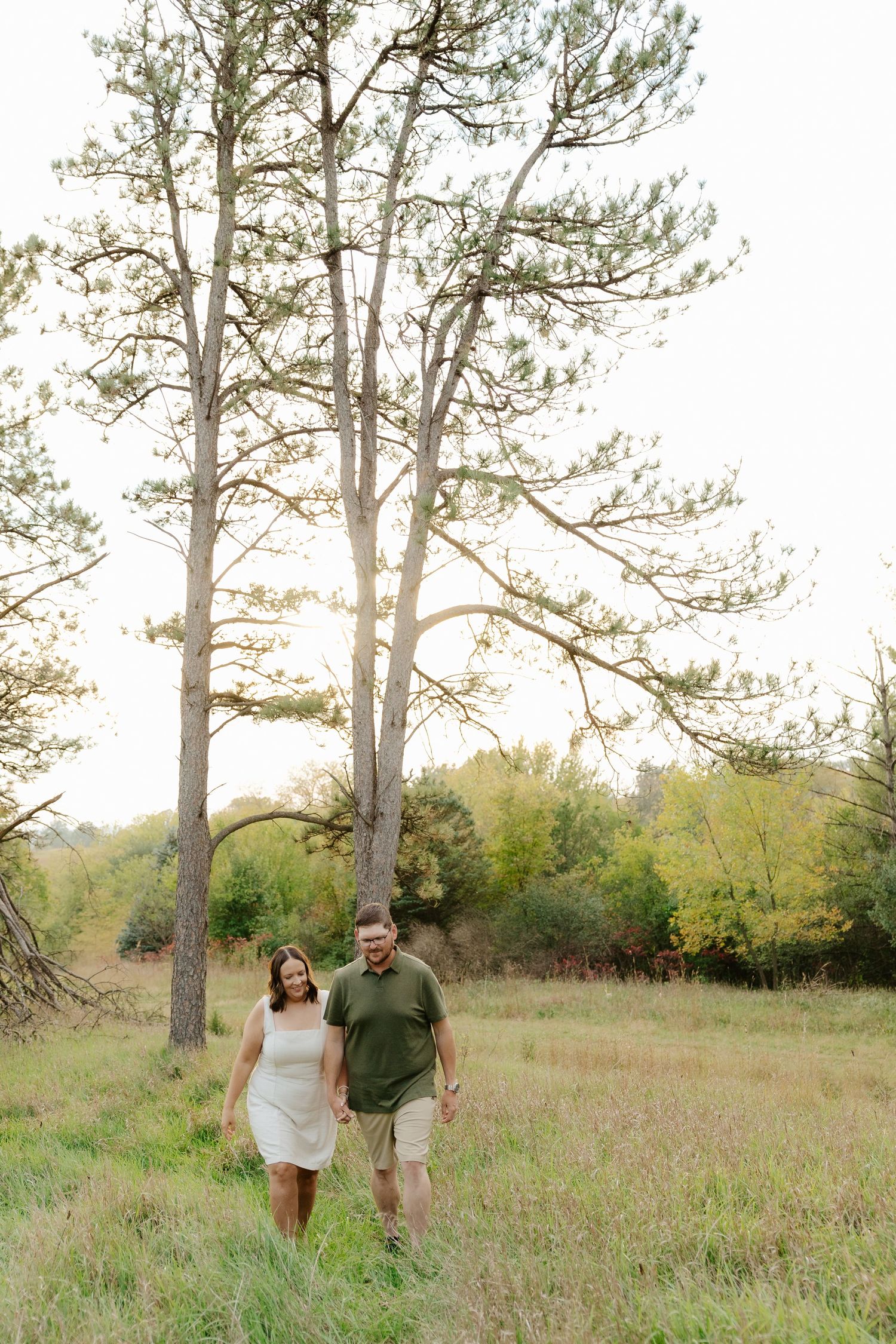 An engaged couple walks together through a serene meadow at Pioneers Park, Lincoln Nebraska with tall pine trees during golden hour.