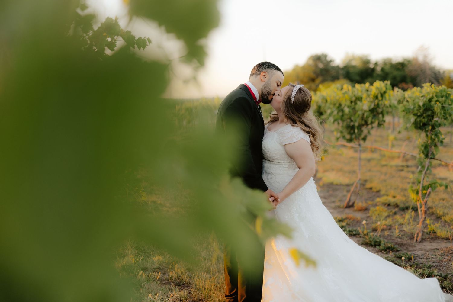 A couple in wedding attire shares romantic moments while being photographed outdoors during sunset in a vineyard