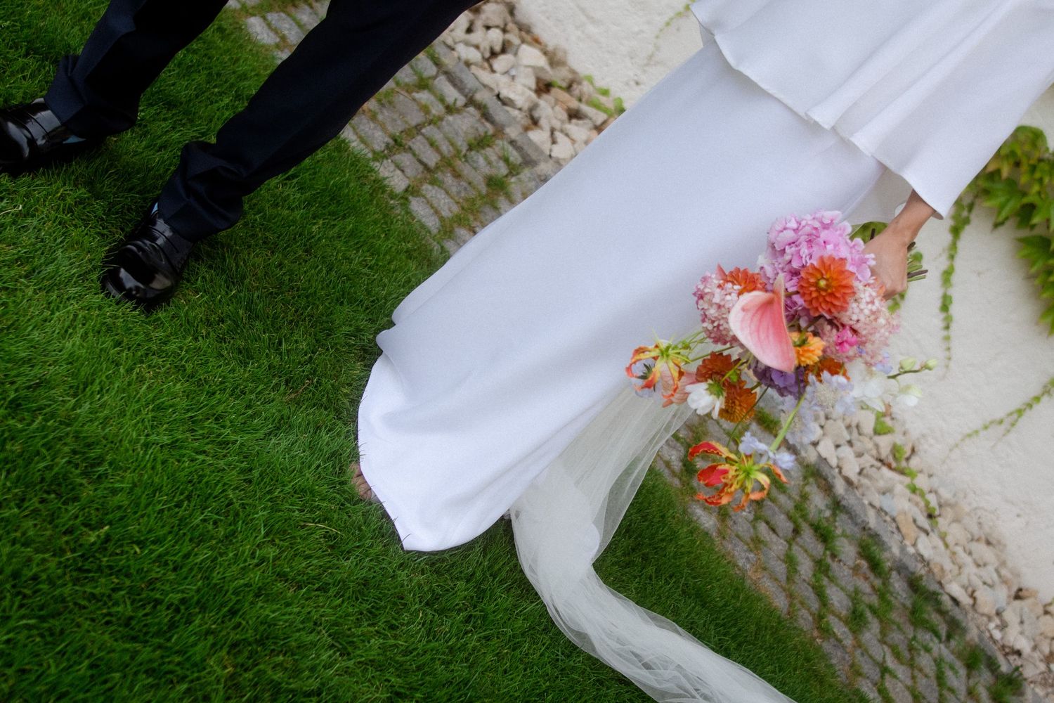 White orchid blooms with pink spotted centers against a blurred green garden background create an elegant display.