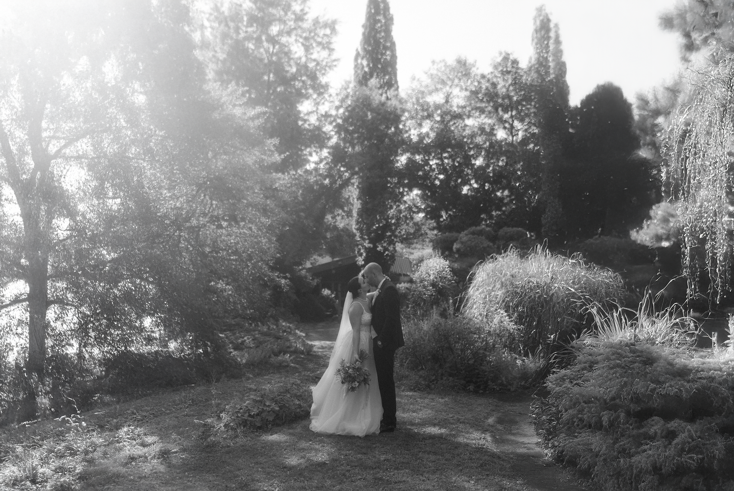A couple stands in a dreamy garden setting with tall cypress trees and dappled sunlight creating a romantic atmosphere.