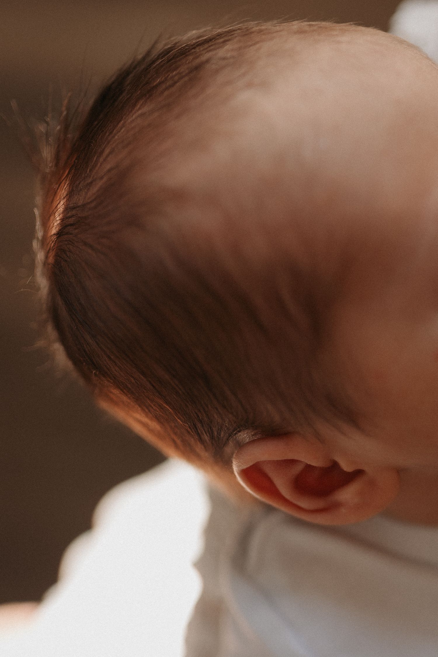 Close-up of a newborn baby's head showing soft fine hair and tiny ear in warm natural light.
