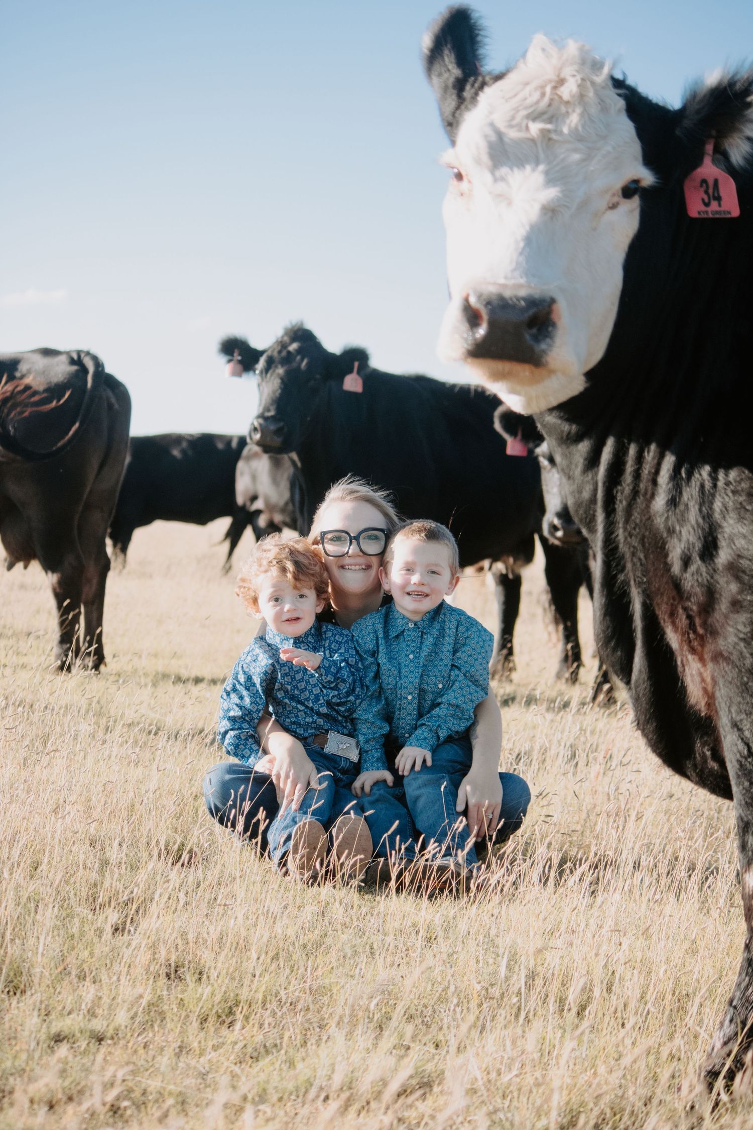 A woman and two young children sit in a grassy field surrounded by black and white cattle on a sunny day.