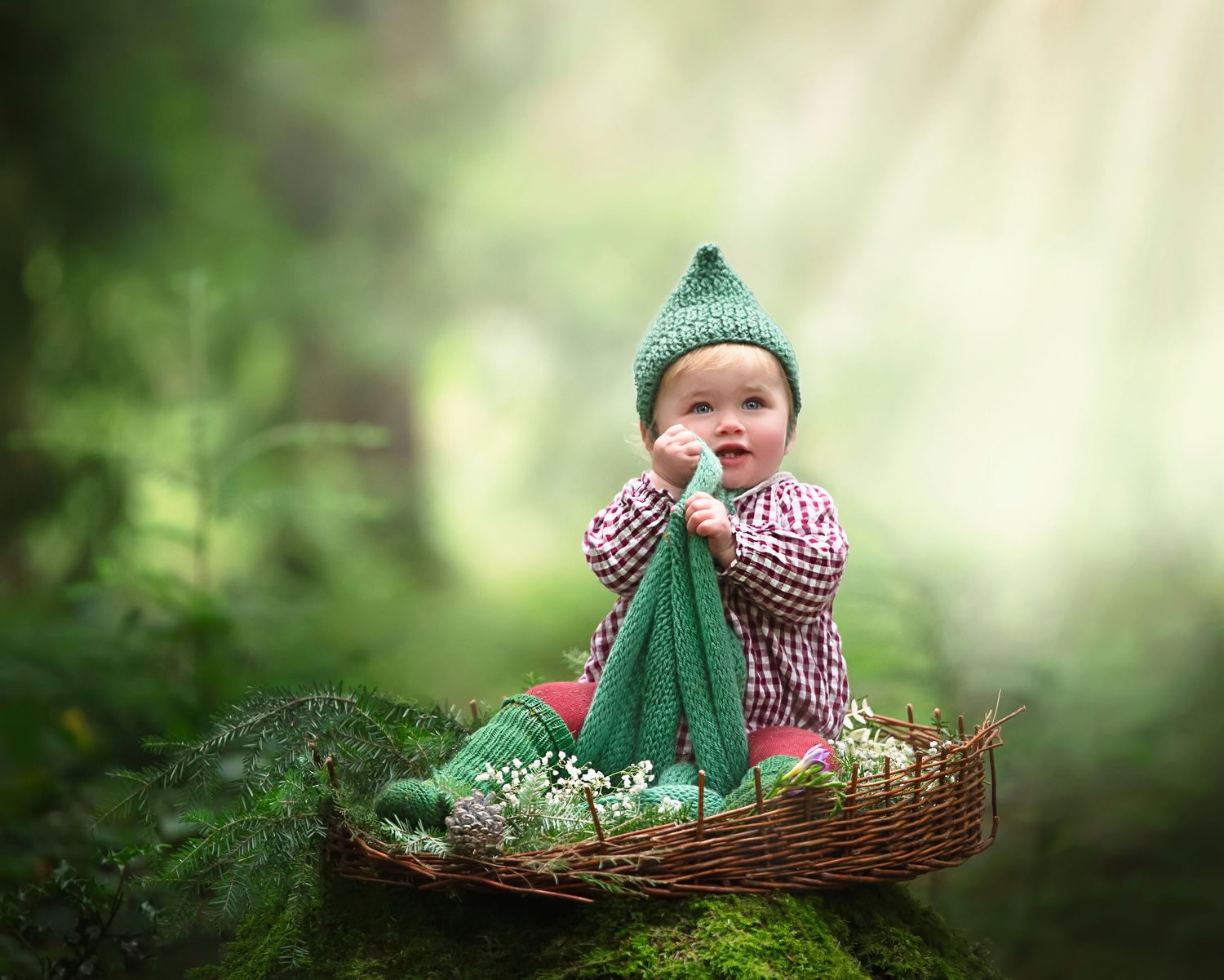 Baby wearing a knitted green hat sits in rustic basket with  baby's breath flowers in enchanted forest setting.