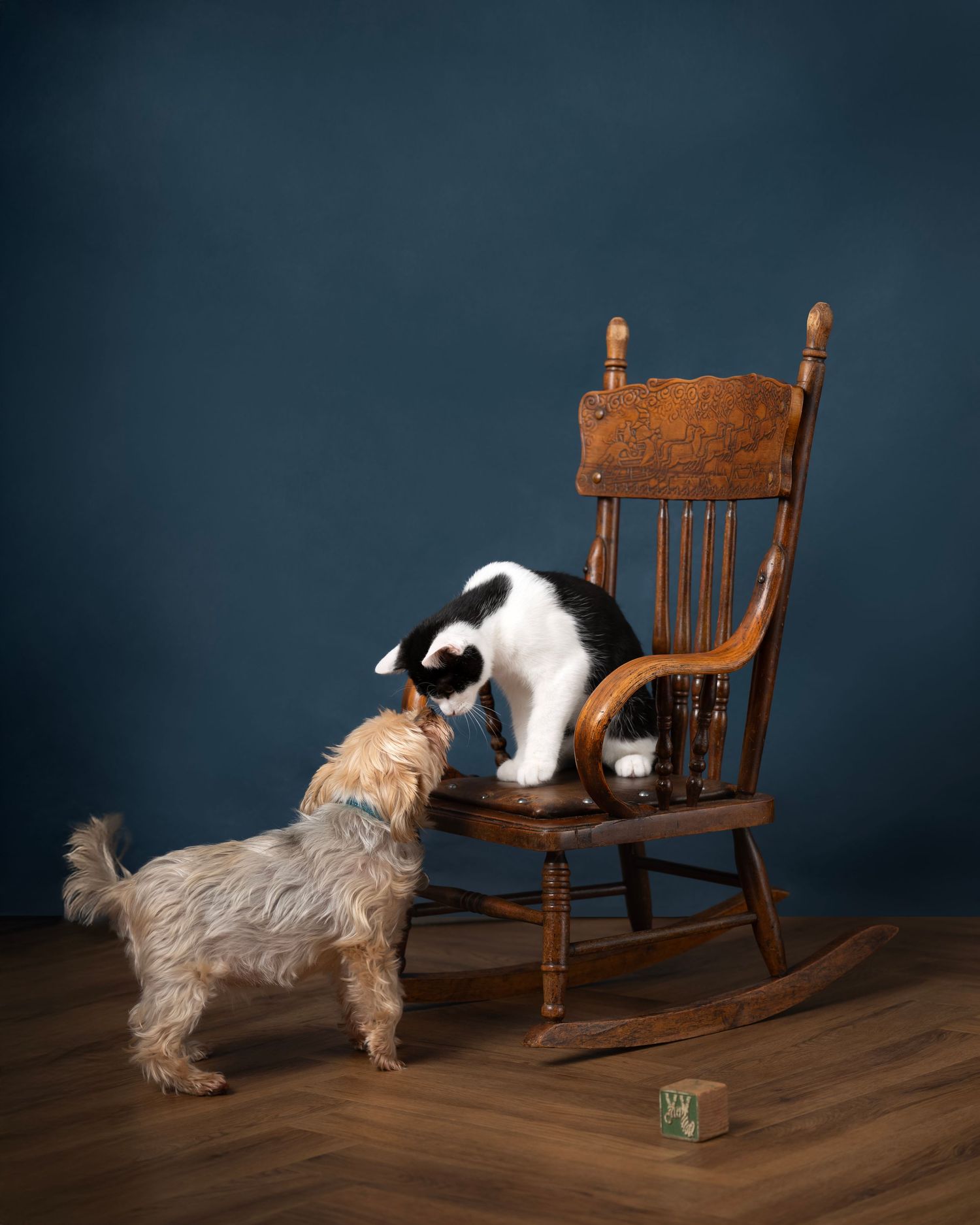 A small black and white cat perches on a wooden rocking chair while a fluffy white dog investigates nearby.